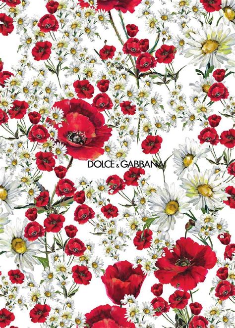 dolce gabbana print wallpaper|dolce and gabbana art print.